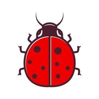 animal insect cartoon red colorful lady bug logo design vector icon symbol illustration
