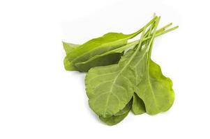 Close up of fresh green spinach isolated on white background photo