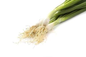 Fresh ripe green spring onions shallots or scallions on white background photo