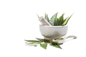 Medicinal Neem leaves in mortar and pestle with neem paste on white background photo