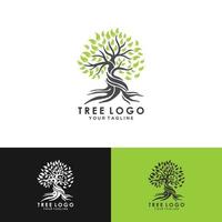 Abstract vibrant tree logo design, root vector - Tree of life logo design inspiration isolated on white background.