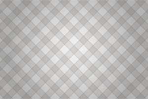 White and gray background texture with modern design vector