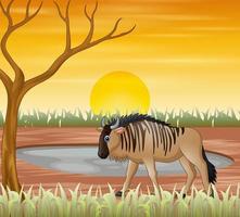 Animales Terrestres Vectores, Iconos, Gráficos y Fondos para Descargar Gratis Animales Terrestres Vectores, Iconos, Gráficos y Fondos para Descargar Gratis