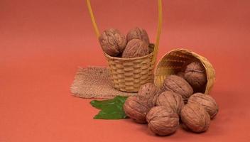 Closup photo of a walnut seed. Food that is good for brain and lower risk of heart disease.