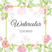 watercolor beautiful English rose flower bouquet garden with gold square banner background vector