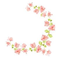 watercolor pink Bougainvillea half circle wreath frame with copy space vector