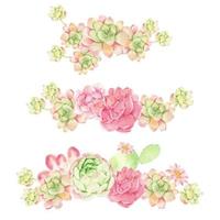 watercolor cactus and succulent bouquet arrangement isolated on white background vector