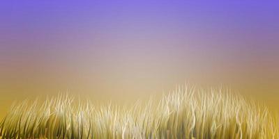 Dry meadow,vector image vector