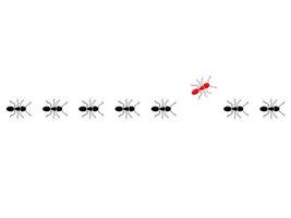 Ant trail. Think differently concept. Red ant going different way from black ants. vector