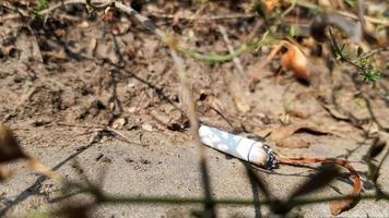 cigarrillo arrojado accidentalmente a la hierba seca. Colilla de cigarrillo arrojada a un prado verde, contaminando la naturaleza y el medio ambiente. foto