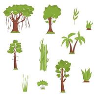 Vegetation of India. Trees and grass. Banyan, palm trees, bamboo, sandalwood, coniferous trees in flat design vector