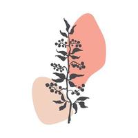 Plant Hearb Illustration vector