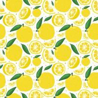 Yuzu japanese citron fruit seamless pattern vector illustration isolated on white background.