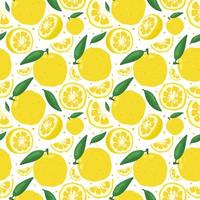 Yuzu japanese citron fruit seamless pattern vector illustration isolated on white background.