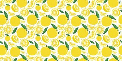 Yuzu japanese citron fruit seamless pattern vector illustration isolated on white background.