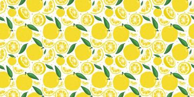 Yuzu japanese citron fruit seamless pattern vector illustration isolated on white background.