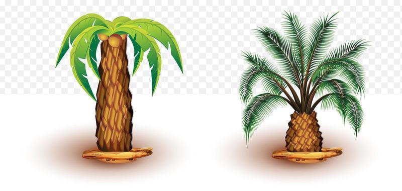 Date Palm Tree Vector Art, Icons, and Graphics for Free Download