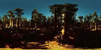 vr360 i Sequoia nationalpark video