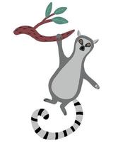 Childrens illustration of lemur hanging on branch. Hand-drawn cute lemur in cartoon style. vector