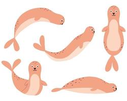 Childrens set of cute seals in cartoon style. A hand-drawn set of seals in different poses. vector