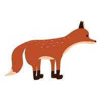 Fox illustration isolated on white background. Cute hand drawn red fox. Forest animal. vector