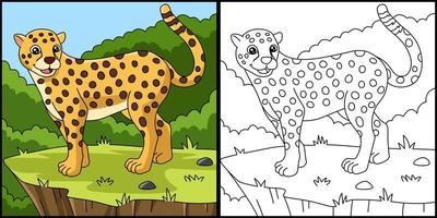 Cheetah Coloring Page Vector Illustration