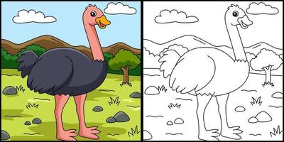 Ostrich Coloring Page Vector Illustration