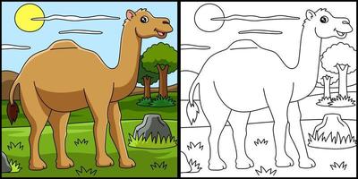Dromedary Coloring Page Vector Illustration