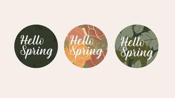 spring hello greeting label. spring greetings, wedding invitations and couple background design. vector