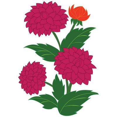 Beautiful dahlia flower isolated on white.