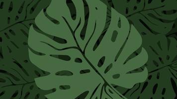 aroids monstera leaf design vector background.