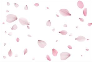 Pink sakura vector background, cherry flowers