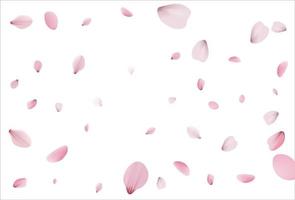 Cherry background, sakura vector background