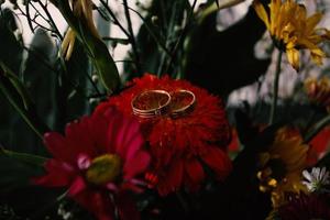 un par de anillos de boda en flor foto