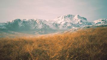 dry grass and snow covered mountains in Alaska photo