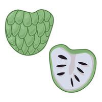 fruta anona, entera y mitad, fruta tropical verde con semillas pequeñas oscuras vector