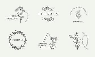 conjunto de elementos botánicos florales dibujados a mano con flores silvestres y hojas. logo para spa y salón de belleza, boutique, tienda orgánica, boda, diseñador floral, interior, fotografía, cosmética. vector