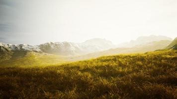 dry grass and snow covered mountains in Alaska photo