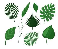 Tropical leaves. Botanical vector. In the style of hand drawing. vector