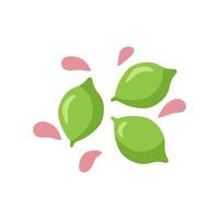Lime, green with pink drops on a white background. Vector. In the style of hand drawing. vector