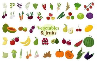 conjunto grande de verduras y frutas. comida de granja saludable. vector