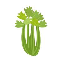 Celery stalk. Healthy food. Vector. In the style of hand drawing. vector