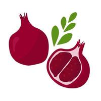 Pomegranate is a ripe and beautiful fruit. Vector. In the style of hand drawing. vector