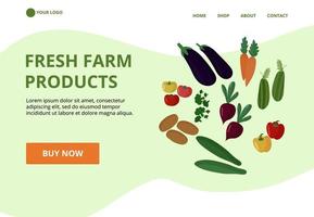 Fresh farm products. Zucchini, carrot, eggplant, tomato, pepper. vector