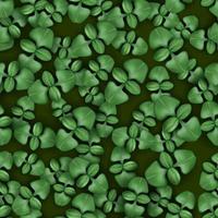 Seamless pattern microgreens. A pattern of young plants for healthy nutrition all year round. 3d realistic vector. vector