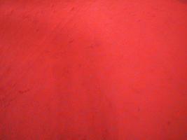 red moquette carpet texture background photo