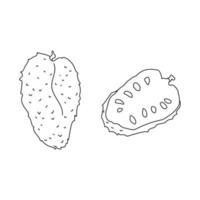guanabana fruit, tropical plant sausep, large fruit with seeds coloring page vector