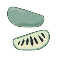 Azimina fruit, whole and half, juicy tropical fruit pawpaw with dark seeds vector