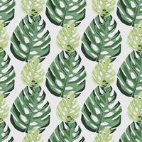 Small and middle monstera leafs elements seamless pattern. Isolated hand draw backdrop with white background. vector