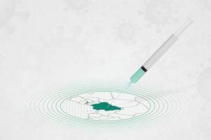 concepto de vacunación de nigeria, inyección de vacuna en el mapa de nigeria. vacuna y vacunación contra el coronavirus, covid-19. vector